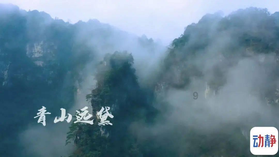 空闲农场